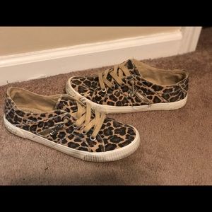 Blowfish fruit leopard sneaker